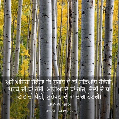 Picture 03 - ਯਸਾਯਾਹ 3:24 PANIRV - ਅਤੇ ਅਜਿਹਾ ਹੋਵੇਗਾ - Bible Verse Picture