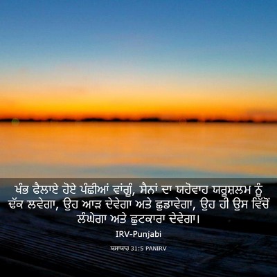 Picture 03 - ਯਸਾਯਾਹ 31:5 PANIRV - ਖੰਭ ਫੈਲਾਏ ਹੋਏ - Bible Verse Picture