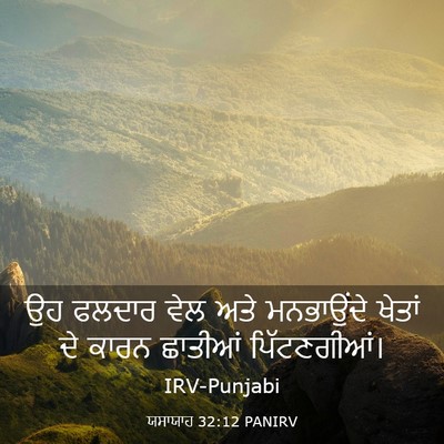 Picture 03 - ਯਸਾਯਾਹ 32:12 PANIRV - ਉਹ ਫਲਦਾਰ ਵੇਲ ਅਤੇ - Bible Verse Picture