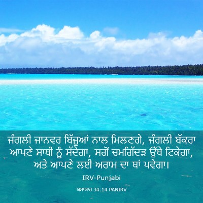 Picture 03 - ਯਸਾਯਾਹ 34:14 PANIRV - ਜੰਗਲੀ ਜਾਨਵਰ - Bible Verse Picture