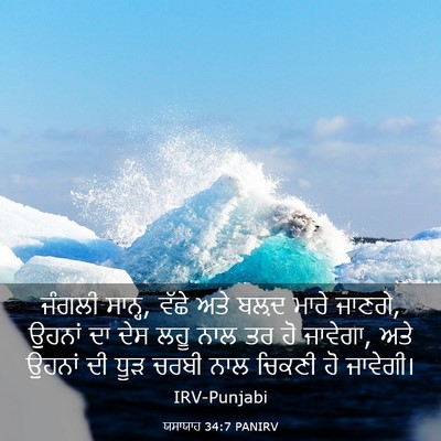 Picture 03 - ਯਸਾਯਾਹ 34:7 PANIRV - ਜੰਗਲੀ ਸਾਨ੍ਹ, ਵੱਛੇ - Bible Verse Picture