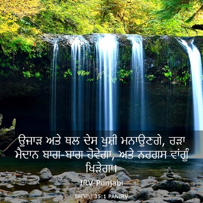 Picture 03 - ਯਸਾਯਾਹ 35:1 PANIRV - ਉਜਾੜ ਅਤੇ ਥਲ ਦੇਸ - Bible Verse Picture