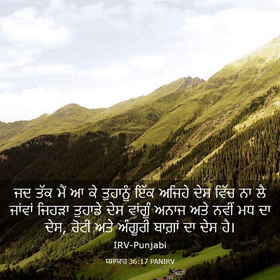 Picture 03 - ਯਸਾਯਾਹ 36:17 PANIRV - ਜਦ ਤੱਕ ਮੈਂ ਆ ਕੇ - Bible Verse Picture