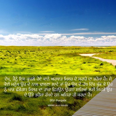 Picture 03 - ਯਸਾਯਾਹ 36:6 PANIRV - ਵੇਖ, ਤੈਨੂੰ ਇਸ ਕੁਚਲੇ - Bible Verse Picture