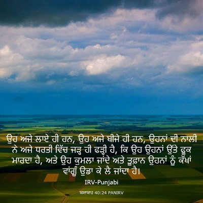 Picture 03 - ਯਸਾਯਾਹ 40:24 PANIRV - ਉਹ ਅਜੇ ਲਾਏ ਹੀ ਹਨ, ਉਹ - Bible Verse Picture