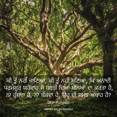 Picture 03 - ਯਸਾਯਾਹ 40:28 PANIRV - ਕੀ ਤੂੰ ਨਹੀਂ ਜਾਣਿਆ, - Bible Verse Picture