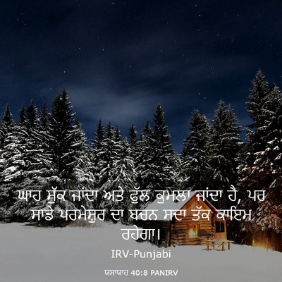 Picture 03 - ਯਸਾਯਾਹ 40:8 PANIRV - ਘਾਹ ਸੁੱਕ ਜਾਂਦਾ ਅਤੇ - Bible Verse Picture