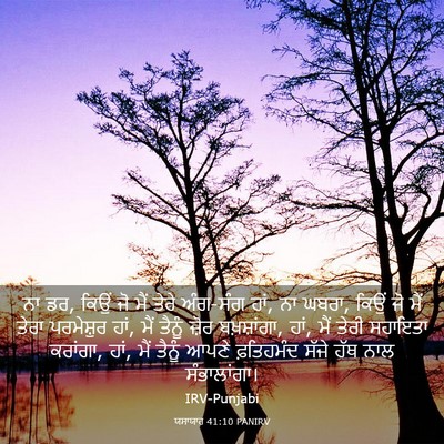 Picture 03 - ਯਸਾਯਾਹ 41:10 PANIRV - ਨਾ ਡਰ, ਕਿਉਂ ਜੋ ਮੈਂ - Bible Verse Picture