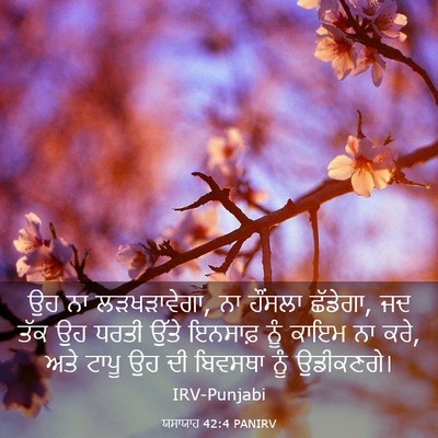 Picture 03 - ਯਸਾਯਾਹ 42:4 PANIRV - ਉਹ ਨਾ ਲੜਖੜਾਵੇਗਾ, ਨਾ - Bible Verse Picture