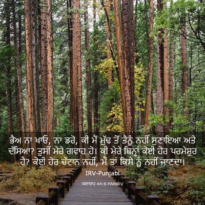 Picture 03 - ਯਸਾਯਾਹ 44:8 PANIRV - ਭੈਅ ਨਾ ਖਾਓ, ਨਾ ਡਰੋ, - Bible Verse Picture