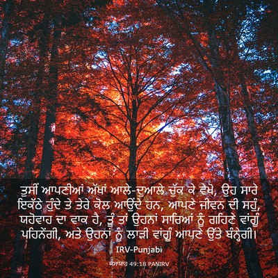 Picture 03 - ਯਸਾਯਾਹ 49:18 PANIRV - ਤੁਸੀਂ ਆਪਣੀਆਂ - Bible Verse Picture
