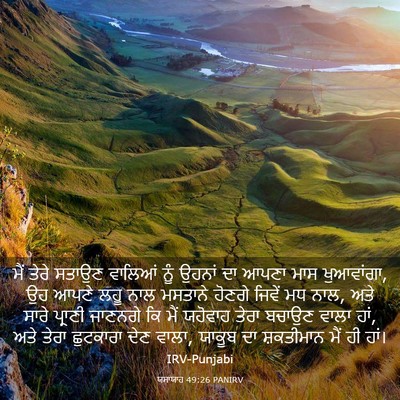 Picture 03 - ਯਸਾਯਾਹ 49:26 PANIRV - ਮੈਂ ਤੇਰੇ ਸਤਾਉਣ - Bible Verse Picture