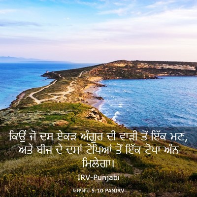 Picture 03 - ਯਸਾਯਾਹ 5:10 PANIRV - ਕਿਉਂ ਜੋ ਦਸ ਏਕੜ - Bible Verse Picture