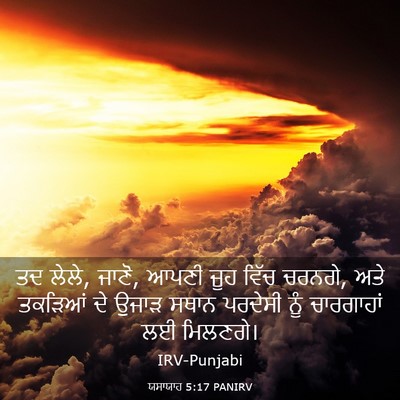 Picture 03 - ਯਸਾਯਾਹ 5:17 PANIRV - ਤਦ ਲੇਲੇ, ਜਾਣੋ, ਆਪਣੀ - Bible Verse Picture