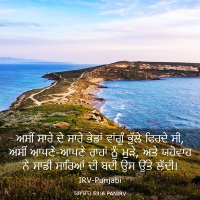 Picture 03 - ਯਸਾਯਾਹ 53:6 PANIRV - ਅਸੀਂ ਸਾਰੇ ਦੇ ਸਾਰੇ - Bible Verse Picture