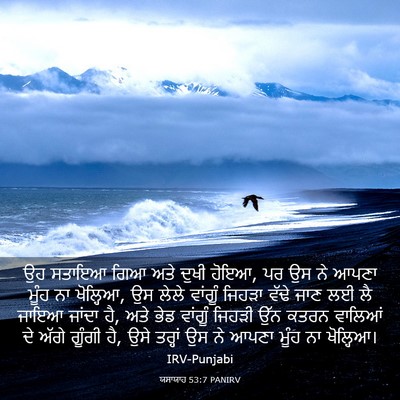 Picture 03 - ਯਸਾਯਾਹ 53:7 PANIRV - ਉਹ ਸਤਾਇਆ ਗਿਆ ਅਤੇ - Bible Verse Picture