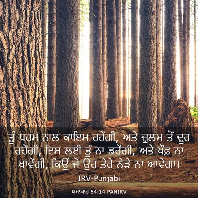Picture 03 - ਯਸਾਯਾਹ 54:14 PANIRV - ਤੂੰ ਧਰਮ ਨਾਲ ਕਾਇਮ - Bible Verse Picture