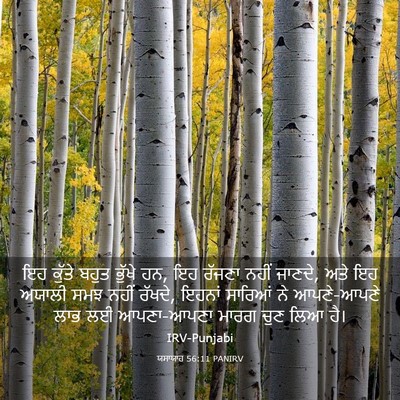 Picture 03 - ਯਸਾਯਾਹ 56:11 PANIRV - ਇਹ ਕੁੱਤੇ ਬਹੁਤ - Bible Verse Picture