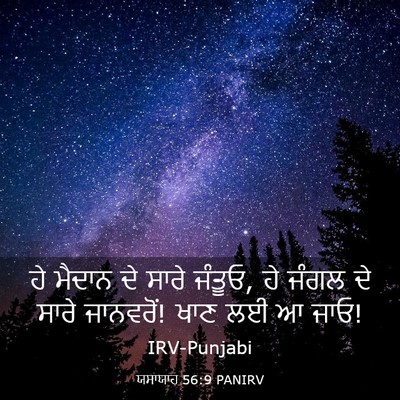 Picture 03 - ਯਸਾਯਾਹ 56:9 PANIRV - ਹੇ ਮੈਦਾਨ ਦੇ ਸਾਰੇ - Bible Verse Picture
