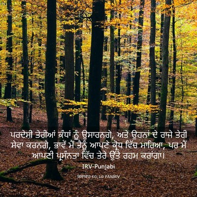 Picture 03 - ਯਸਾਯਾਹ 60:10 PANIRV - ਪਰਦੇਸੀ ਤੇਰੀਆਂ - Bible Verse Picture