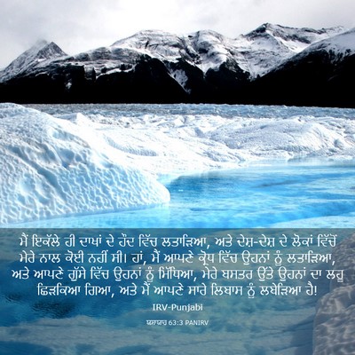 Picture 03 - ਯਸਾਯਾਹ 63:3 PANIRV - ਮੈਂ ਇਕੱਲੇ ਹੀ ਦਾਖਾਂ - Bible Verse Picture