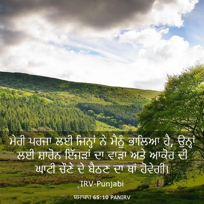 Picture 03 - ਯਸਾਯਾਹ 65:10 PANIRV - ਮੇਰੀ ਪਰਜਾ ਲਈ - Bible Verse Picture