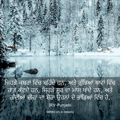 Picture 03 - ਯਸਾਯਾਹ 65:4 PANIRV - ਜਿਹੜੇ ਕਬਰਾਂ ਵਿੱਚ - Bible Verse Picture
