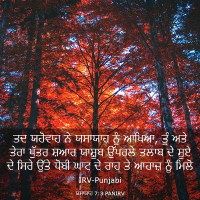Picture 03 - ਯਸਾਯਾਹ 7:3 PANIRV - ਤਦ ਯਹੋਵਾਹ ਨੇ - Bible Verse Picture