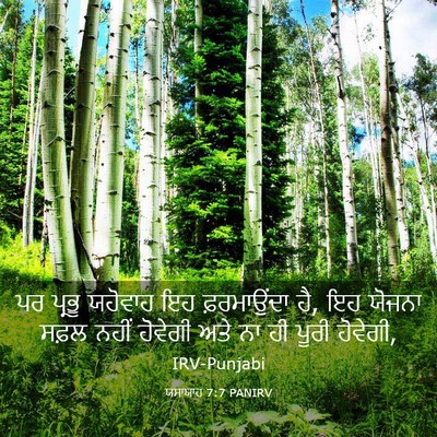 Picture 03 - ਯਸਾਯਾਹ 7:7 PANIRV - ਪਰ ਪ੍ਰਭੂ ਯਹੋਵਾਹ ਇਹ - Bible Verse Picture