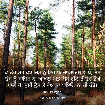 Picture 03 - ਯਸਾਯਾਹ 8:12 PANIRV - ਕਿ ਉਹ ਸਭ ਕੁਝ ਜਿਸ - Bible Verse Picture