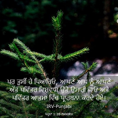 Picture 03 - ਯਹੂਦਾ 1:20 PANIRV - ਪਰ ਤੁਸੀਂ ਹੇ ਪਿਆਰਿਓ, - Bible Verse Picture