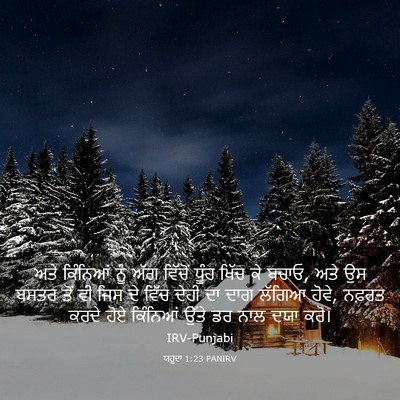 Picture 03 - ਯਹੂਦਾ 1:23 PANIRV - ਅਤੇ ਕਿੰਨਿਆਂ ਨੂੰ - Bible Verse Picture