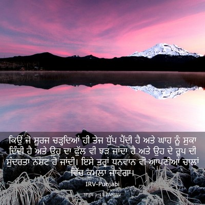 Picture 03 - ਯਾਕੂਬ 1:11 PANIRV - ਕਿਉਂ ਜੋ ਸੂਰਜ - Bible Verse Picture