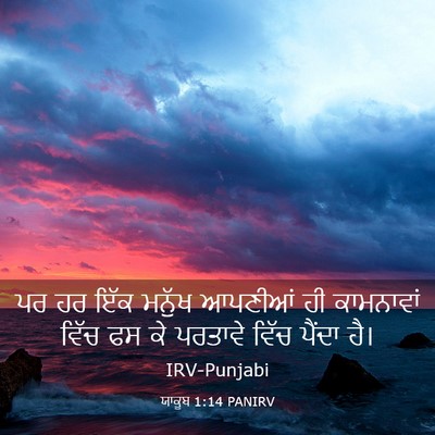 Picture 03 - ਯਾਕੂਬ 1:14 PANIRV - ਪਰ ਹਰ ਇੱਕ ਮਨੁੱਖ - Bible Verse Picture