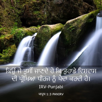 Picture 03 - ਯਾਕੂਬ 1:3 PANIRV - ਕਿਉਂ ਜੋ ਤੁਸੀਂ - Bible Verse Picture