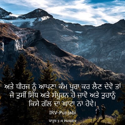 Picture 03 - ਯਾਕੂਬ 1:4 PANIRV - ਅਤੇ ਧੀਰਜ ਨੂੰ ਆਪਣਾ - Bible Verse Picture