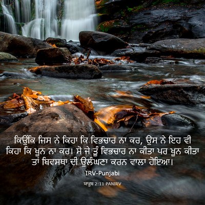Picture 03 - ਯਾਕੂਬ 2:11 PANIRV - ਕਿਉਂਕਿ ਜਿਸ ਨੇ ਕਿਹਾ - Bible Verse Picture