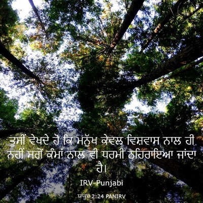 Picture 03 - ਯਾਕੂਬ 2:24 PANIRV - ਤੁਸੀਂ ਵੇਖਦੇ ਹੋ ਕਿ - Bible Verse Picture