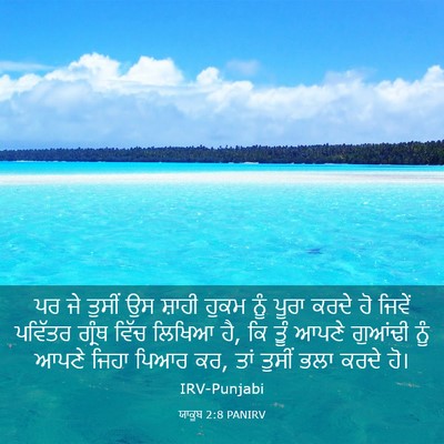Picture 03 - ਯਾਕੂਬ 2:8 PANIRV - ਪਰ ਜੇ ਤੁਸੀਂ ਉਸ - Bible Verse Picture