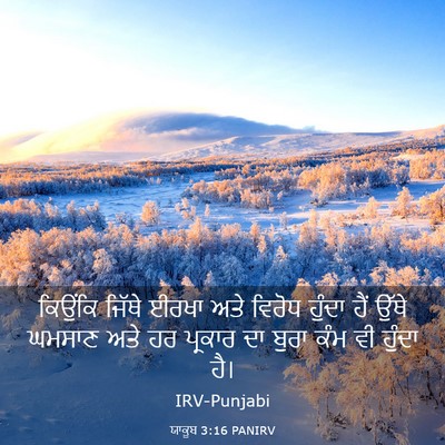 Picture 03 - ਯਾਕੂਬ 3:16 PANIRV - ਕਿਉਂਕਿ ਜਿੱਥੇ ਈਰਖਾ - Bible Verse Picture