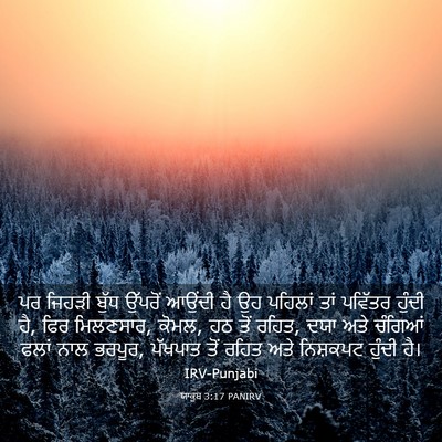 Picture 03 - ਯਾਕੂਬ 3:17 PANIRV - ਪਰ ਜਿਹੜੀ ਬੁੱਧ - Bible Verse Picture
