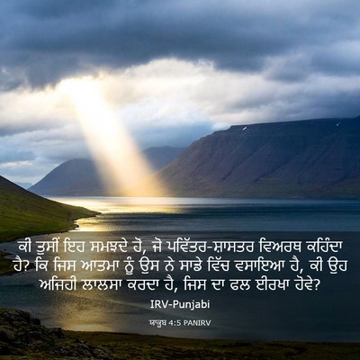 Picture 03 - ਯਾਕੂਬ 4:5 PANIRV - ਕੀ ਤੁਸੀਂ ਇਹ ਸਮਝਦੇ - Bible Verse Picture