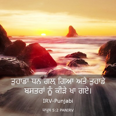 Picture 03 - ਯਾਕੂਬ 5:2 PANIRV - ਤੁਹਾਡਾ ਧਨ ਗਲ਼ ਗਿਆ - Bible Verse Picture