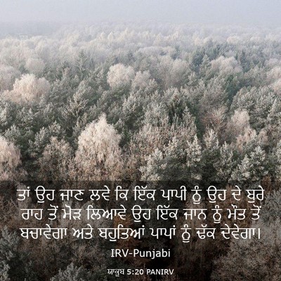 Picture 03 - ਯਾਕੂਬ 5:20 PANIRV - ਤਾਂ ਉਹ ਜਾਣ ਲਵੇ ਕਿ - Bible Verse Picture