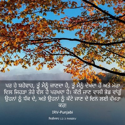 Picture 03 - ਯਿਰਮਿਯਾਹ 12:3 PANIRV - ਪਰ ਹੇ ਯਹੋਵਾਹ, ਤੂੰ - Bible Verse Picture