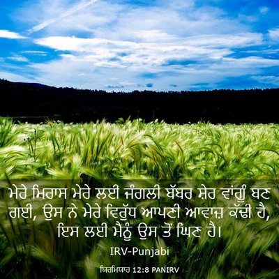Picture 03 - ਯਿਰਮਿਯਾਹ 12:8 PANIRV - ਮੇਰੇ ਮਿਰਾਸ ਮੇਰੇ ਲਈ - Bible Verse Picture