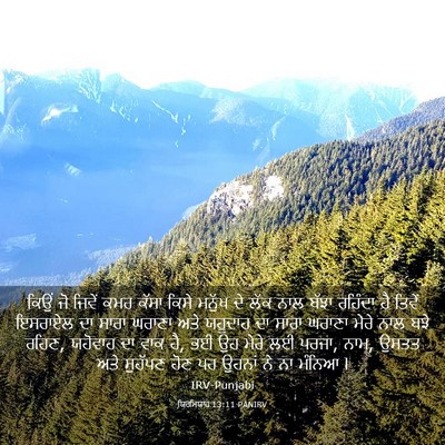 Picture 03 - ਯਿਰਮਿਯਾਹ 13:11 PANIRV - ਕਿਉਂ ਜੋ ਜਿਵੇਂ ਕਮਰ - Bible Verse Picture