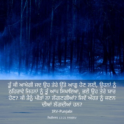Picture 03 - ਯਿਰਮਿਯਾਹ 13:21 PANIRV - ਤੂੰ ਕੀ ਆਖੇਗੀ ਜਦ ਉਹ - Bible Verse Picture
