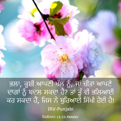 Picture 03 - ਯਿਰਮਿਯਾਹ 13:23 PANIRV - ਭਲਾ, ਕੂਸ਼ੀ ਆਪਣੀ ਖੱਲ - Bible Verse Picture