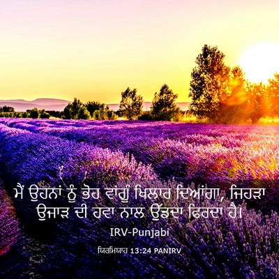 Picture 03 - ਯਿਰਮਿਯਾਹ 13:24 PANIRV - ਮੈਂ ਉਹਨਾਂ ਨੂੰ ਭੋਹ - Bible Verse Picture